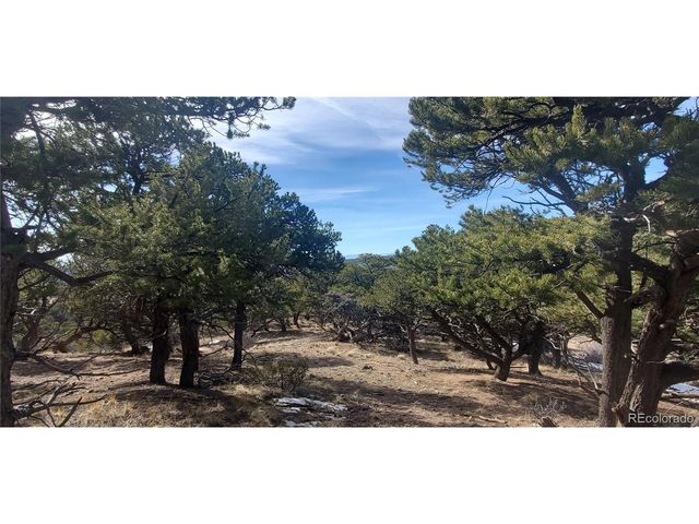 7274 Barker Rd, Fort Garland, CO 81133