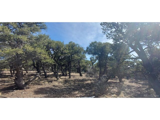 7274 Barker Rd, Fort Garland, CO 81133