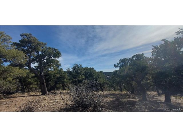 7274 Barker Rd, Fort Garland, CO 81133