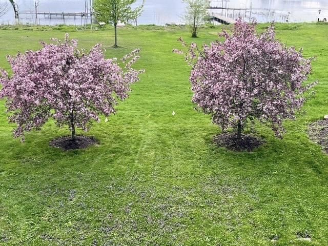 N4235 HILLSIDE Lane, Cambridge, WI 53523