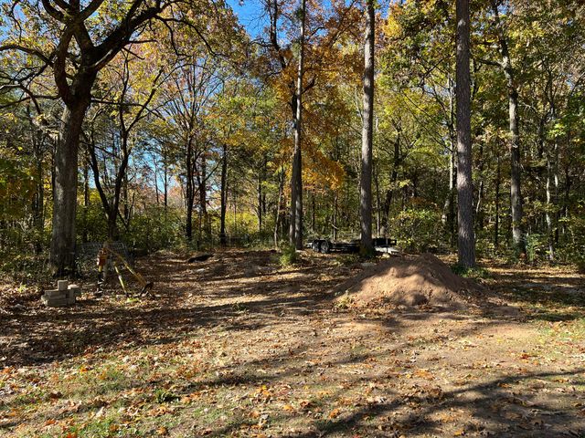 238 Dale Avenue, Hollister, MO 65672