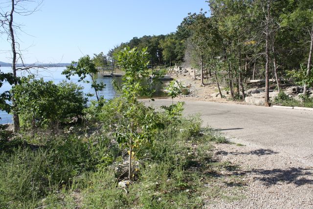 238 Dale Avenue, Hollister, MO 65672