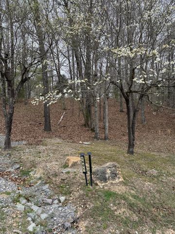 1801 Colbert Hollow Road, Rock Spring, GA 30739