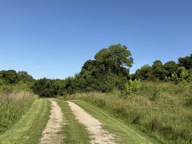 244A Access Rd, Pulaski, TN 38478