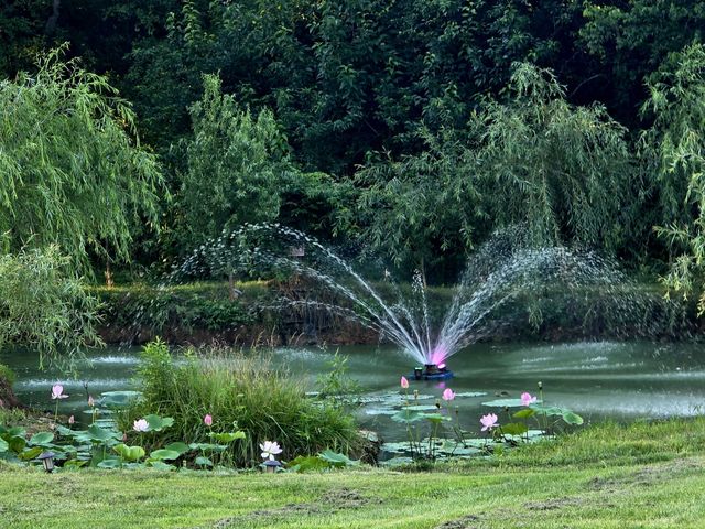244A Access Rd, Pulaski, TN 38478