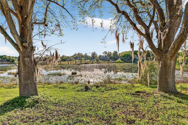 1039 LAKE GRACIE DRIVE, Eustis, FL 32726