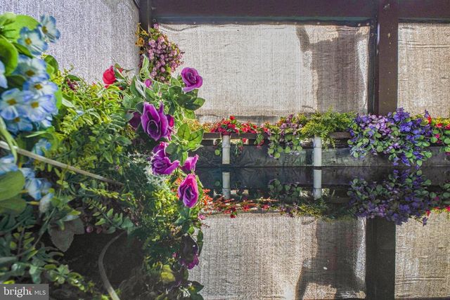 12254 BIRKDALE RD, Ruther Glen, VA 22546