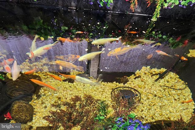 12254 BIRKDALE RD, Ruther Glen, VA 22546