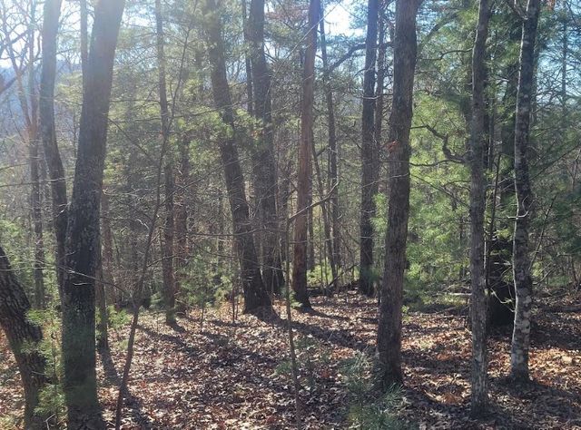 Lot 26 Countryside Lane, Hayesville, NC 28904