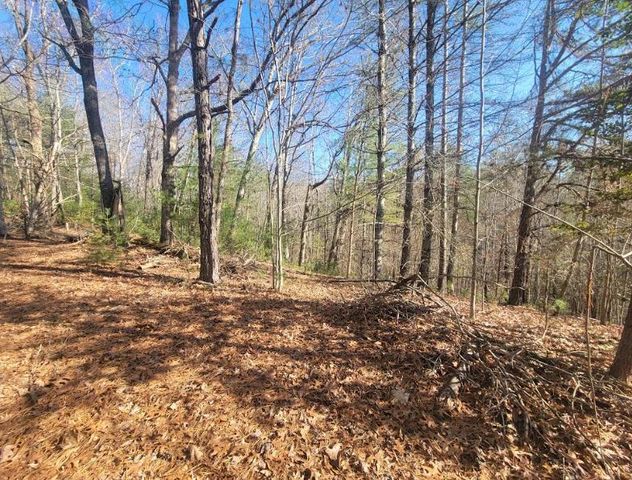 Lot 26 Countryside Lane, Hayesville, NC 28904