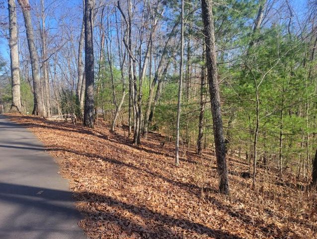 Lot 26 Countryside Lane, Hayesville, NC 28904