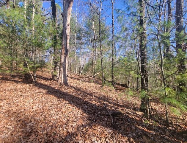 Lot 26 Countryside Lane, Hayesville, NC 28904