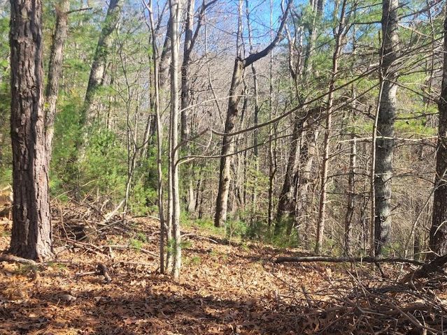 Lot 26 Countryside Lane, Hayesville, NC 28904