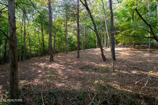 358 Valley Drive, Loudon, TN 37774