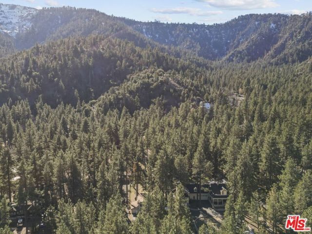 1197 Oriole Road, Wrightwood, CA 92397