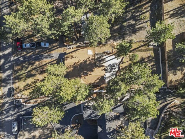 1197 Oriole Road, Wrightwood, CA 92397