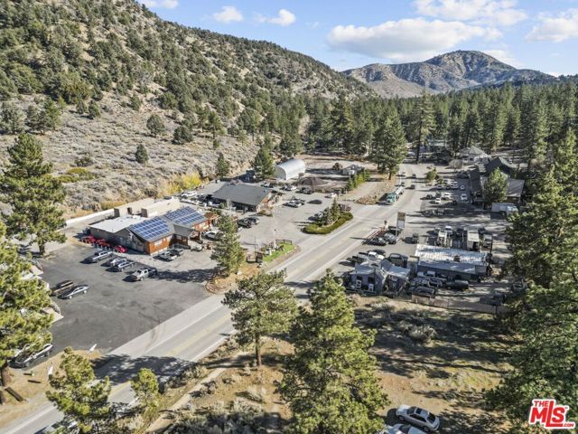 1197 Oriole Road, Wrightwood, CA 92397