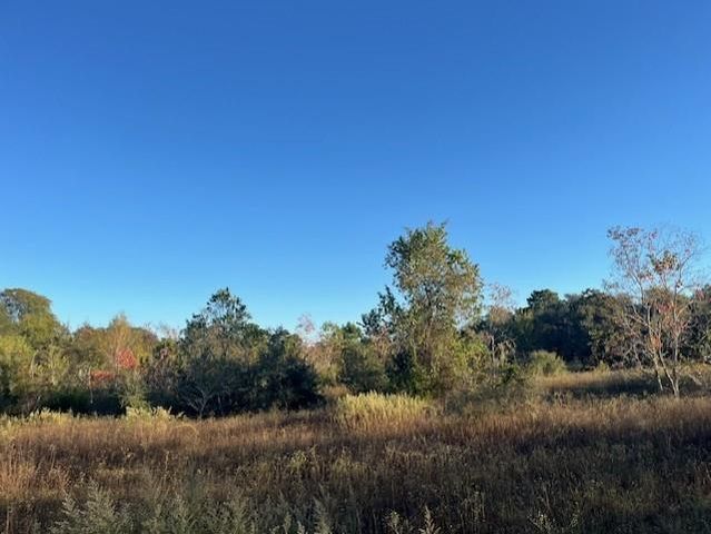 1311-B Alleyton Road, Columbus, TX 78934