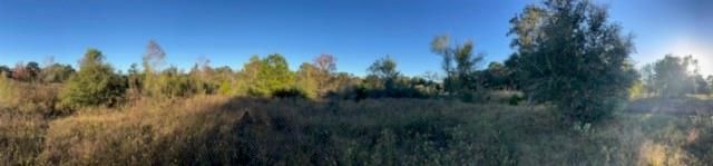 1311-B Alleyton Road, Columbus, TX 78934