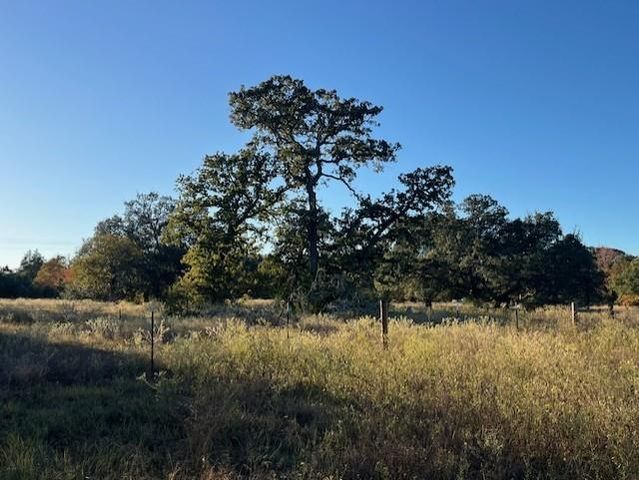 1311-B Alleyton Road, Columbus, TX 78934