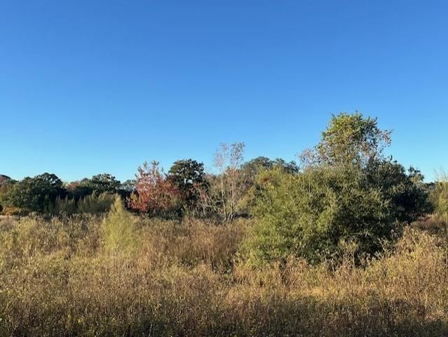 1311-B Alleyton Road, Columbus, TX 78934