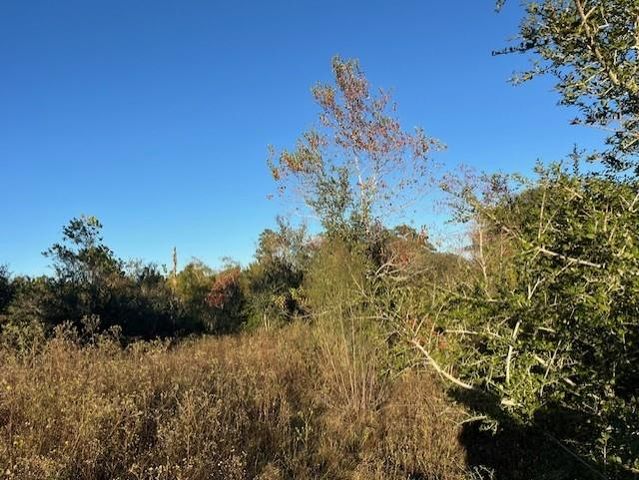 1311-B Alleyton Road, Columbus, TX 78934