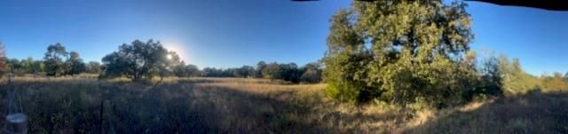 1311-B Alleyton Road, Columbus, TX 78934