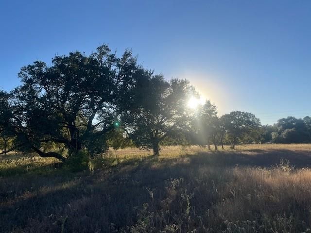 1311-B Alleyton Road, Columbus, TX 78934