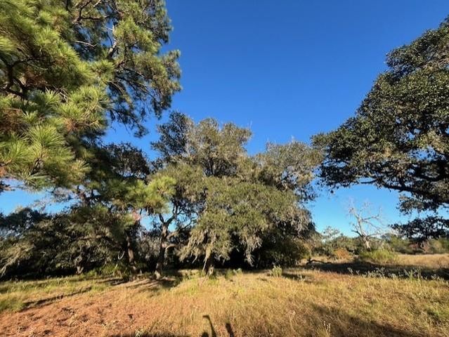 1311-B Alleyton Road, Columbus, TX 78934