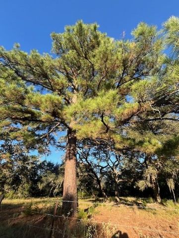 1311-B Alleyton Road, Columbus, TX 78934