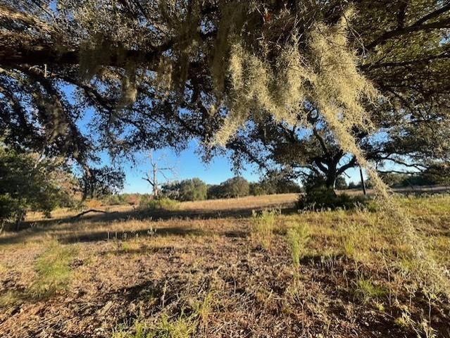 1311-B Alleyton Road, Columbus, TX 78934