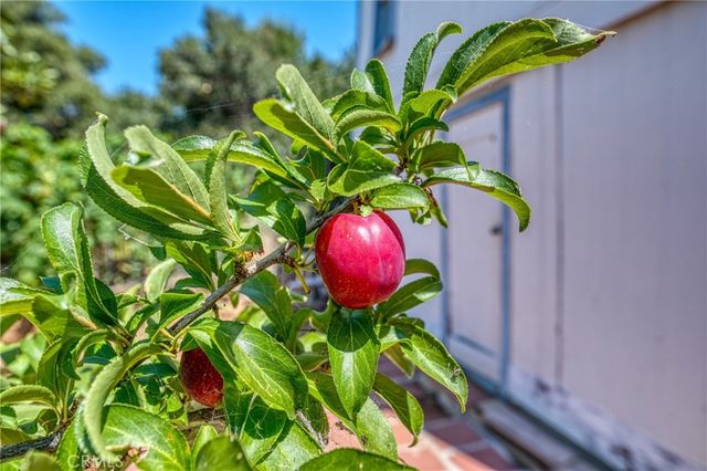 9175 Glenhaven, Glenhaven, CA 95443