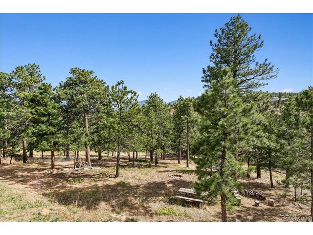 166 Hummingbird Ln, Golden, CO 80403