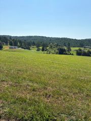 0 Goodfield Road, Decatur, TN 37322