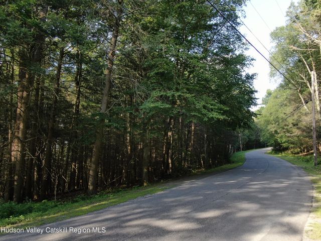 101 Terrace Drive, Lexington, NY 12468