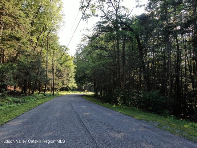 101 Terrace Drive, Lexington, NY 12468