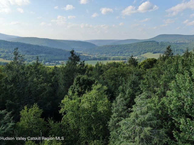 101 Terrace Drive, Lexington, NY 12468