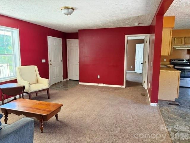 4084 Carpenters Cove Road, Claremont, NC 28610