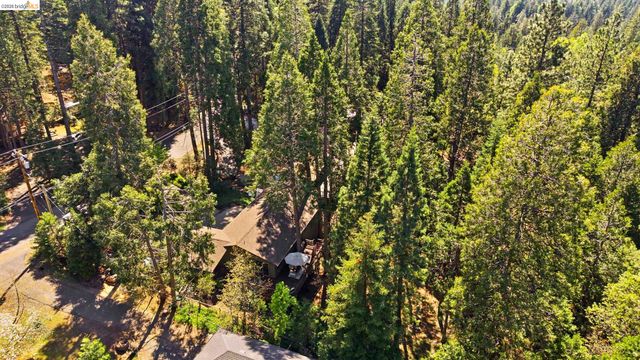 23606 Ontario Dr, Twain Harte, CA 95383