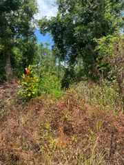 SW Main Street, Greenville, FL 32331