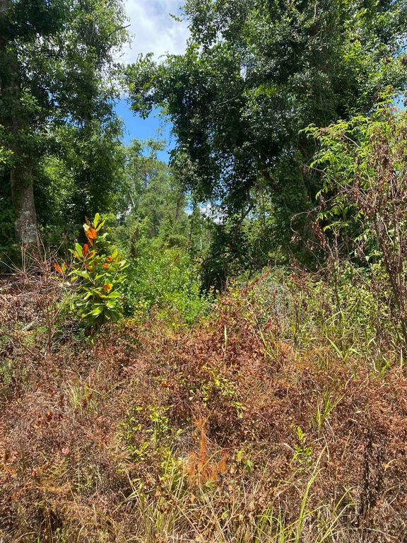 SW Main Street, Greenville, FL 32331