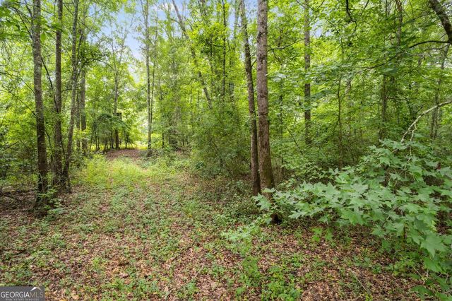 104 Martin Cemetary Road, Carrollton, GA 30117