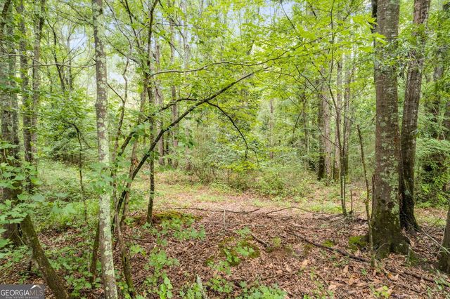 104 Martin Cemetary Road, Carrollton, GA 30117