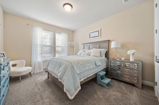 17507 Wheat Farm Lane, Hockley, TX 77447