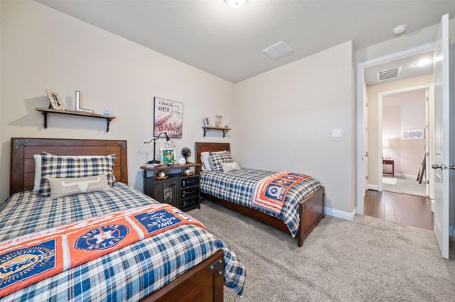 17507 Wheat Farm Lane, Hockley, TX 77447