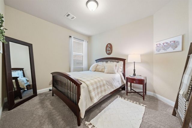 17507 Wheat Farm Lane, Hockley, TX 77447