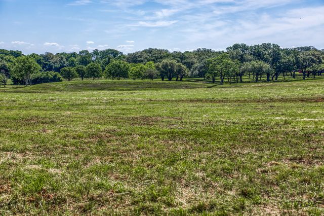 Tract 2 - 8145 Fm 390 E, Brenham, TX 77833