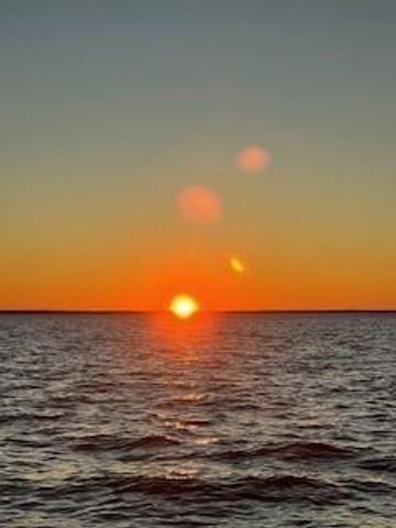 172 Little Dove, Livingston, TX 77351