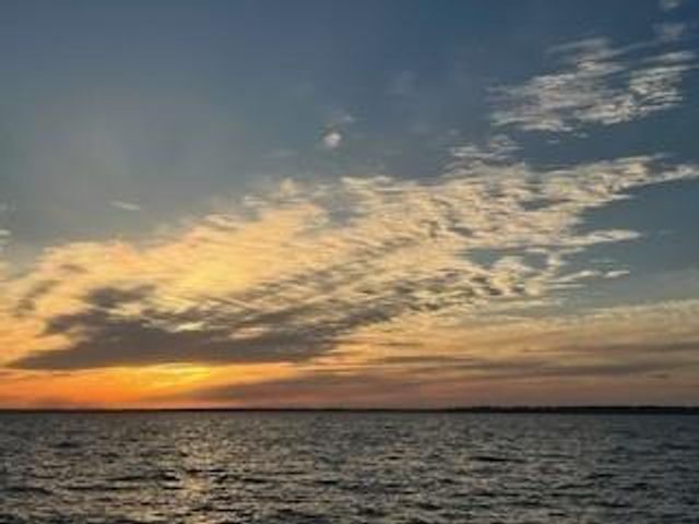 172 Little Dove, Livingston, TX 77351