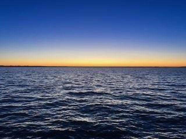 172 Little Dove, Livingston, TX 77351